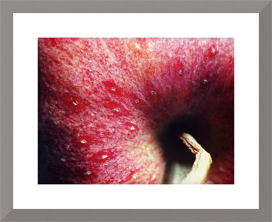 Another deep look Picture Frame print