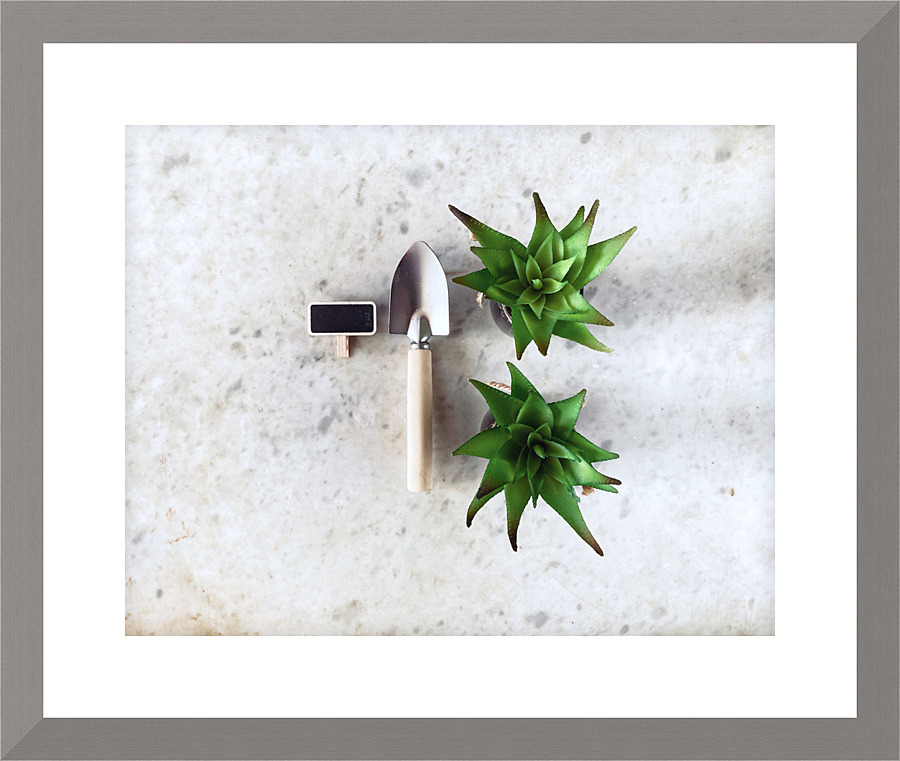 Garden Tools Picture Frame print