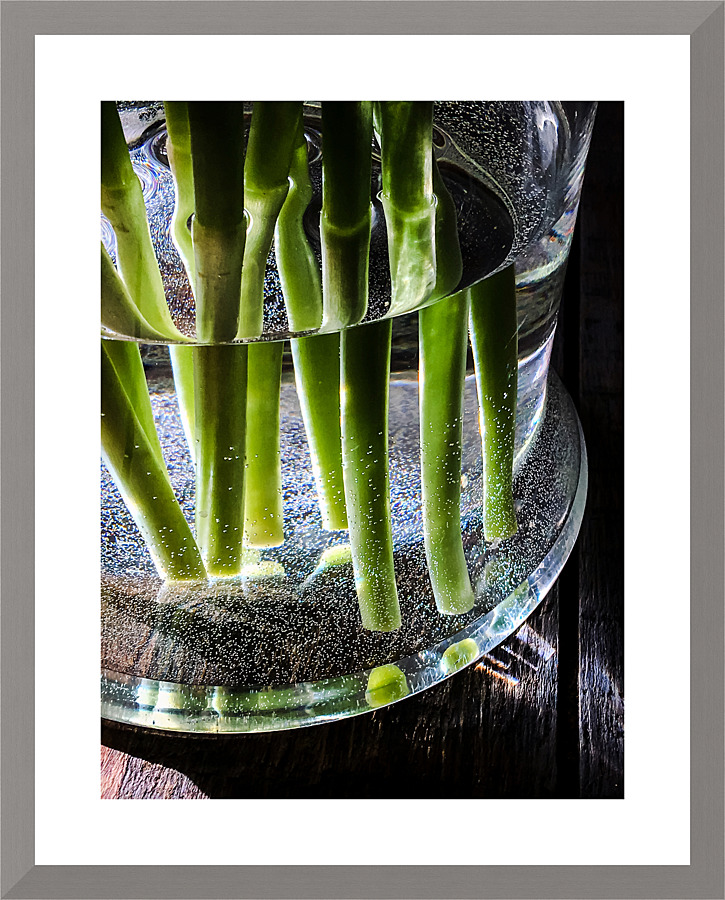 Green stems Picture Frame print
