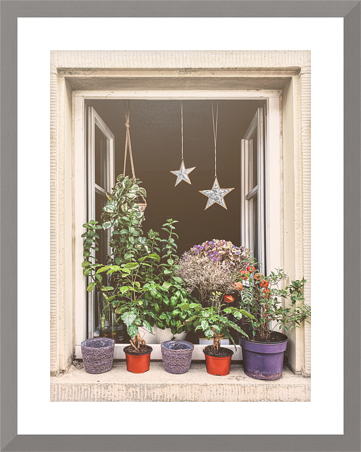 Plants galore Picture Frame print