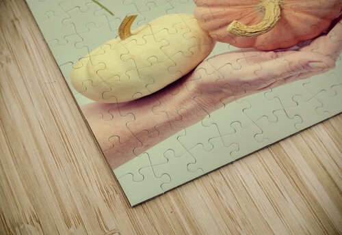 Floating pumpkin II Thevectoryfloor puzzle