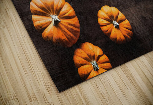 Orange pumpkins  Thevectoryfloor puzzle