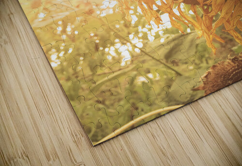 Wilted Sunflower Thevectoryfloor puzzle