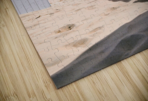 Beach houses Thevectoryfloor puzzle