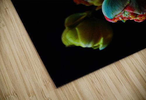 Five tulips Thevectoryfloor puzzle