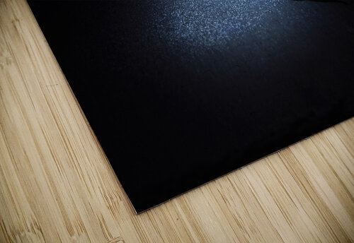 Last snow before spring Thevectoryfloor puzzle