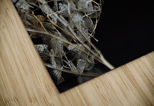Reaching out Thevectoryfloor puzzle