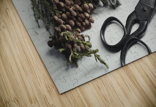 Get my scissors Thevectoryfloor puzzle