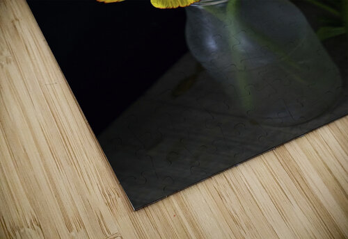 Ranunculus I Thevectoryfloor puzzle