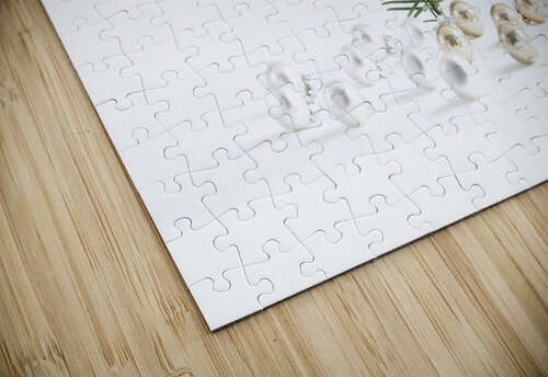 Gold and white Thevectoryfloor puzzle