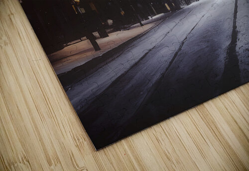 Snow in NY Thevectoryfloor puzzle
