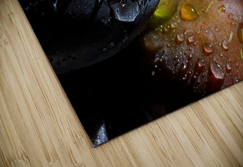 Fresh Plums Thevectoryfloor puzzle
