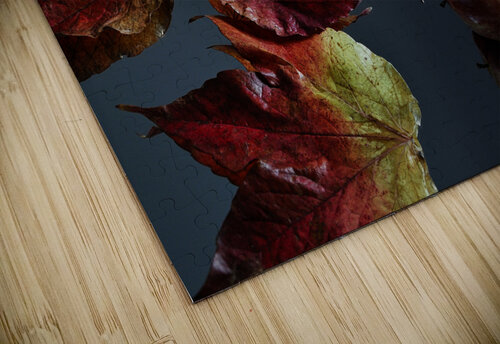 Autumn apples Thevectoryfloor puzzle