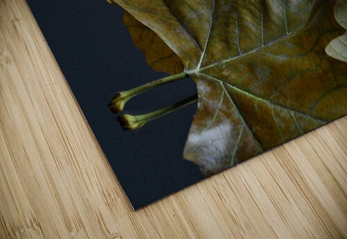 Apple and leaf Thevectoryfloor puzzle