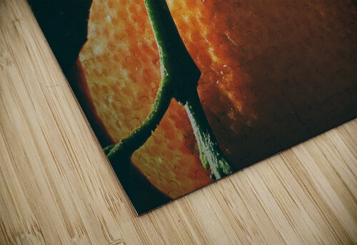 Tangerine I Thevectoryfloor puzzle