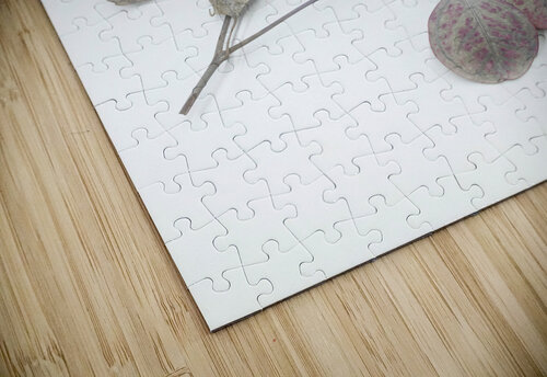 Botanical II  Thevectoryfloor puzzle