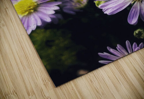 Daisies II Thevectoryfloor puzzle