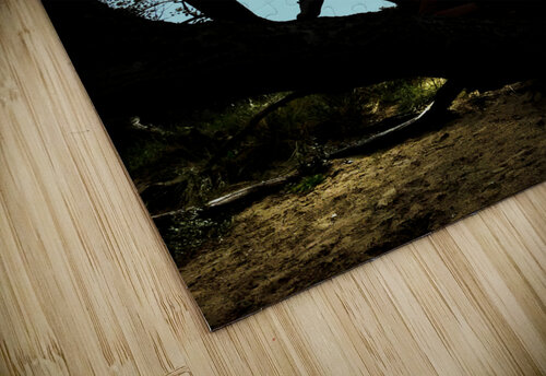 Up in the tree I Thevectoryfloor puzzle