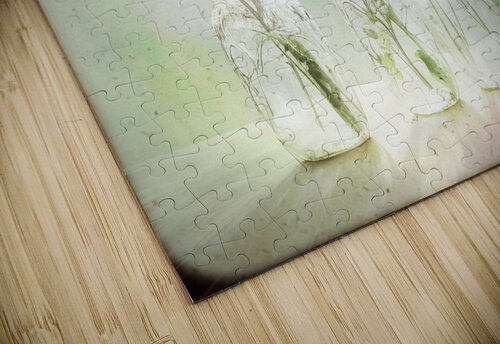 Tanacetum vulgare Thevectoryfloor puzzle