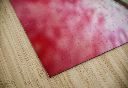 A deep look Thevectoryfloor puzzle