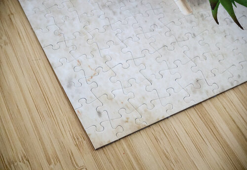Garden Tools Thevectoryfloor puzzle