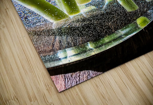 Green stems Thevectoryfloor puzzle