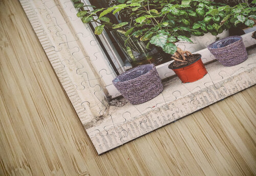 Plants galore Thevectoryfloor puzzle