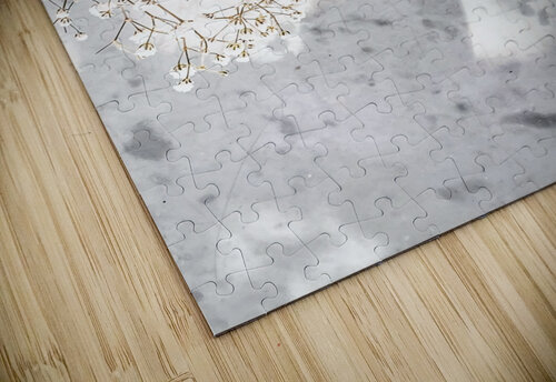 Peach bubbles III Thevectoryfloor puzzle