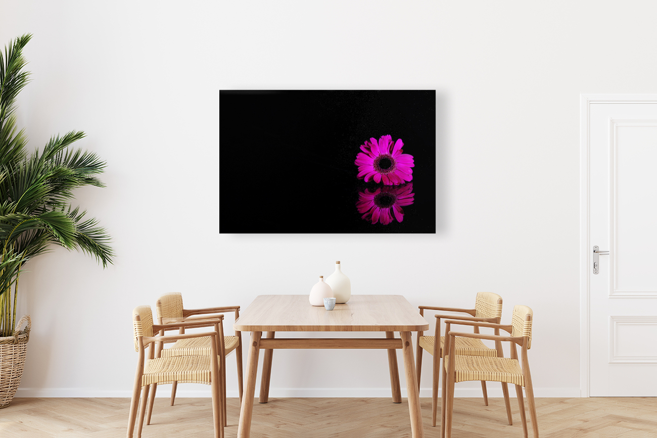 Pink gerbera Reproduction