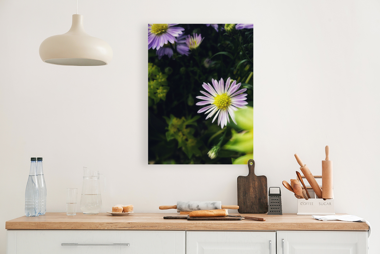 Daisies I Reproduction