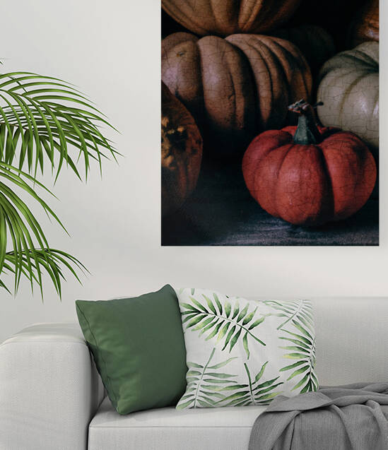 Pumpkins on dark background I by Thevectoryfloor