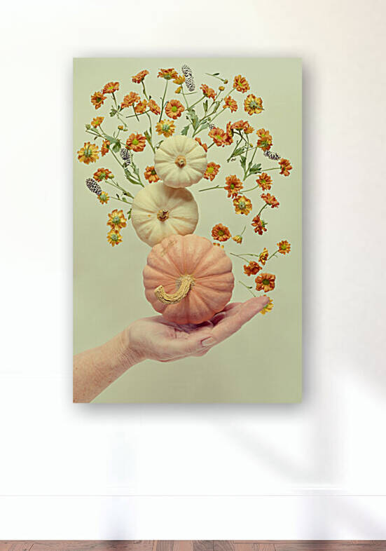 Floating pumpkin III by Thevectoryfloor