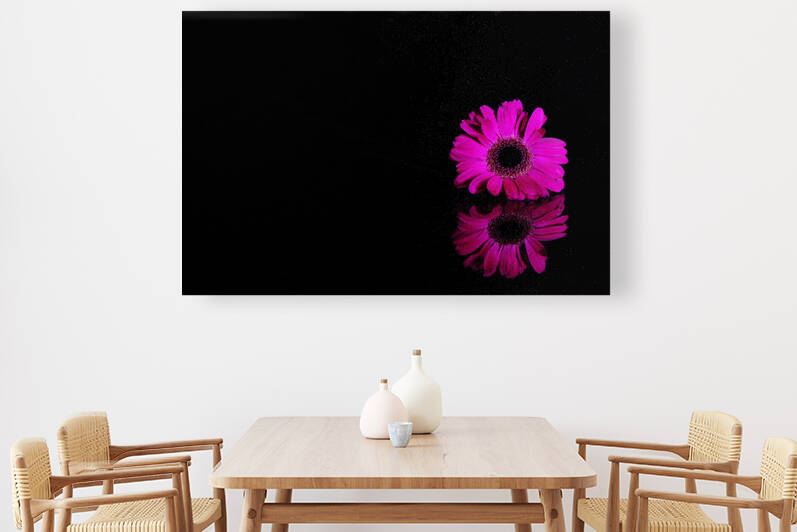 Pink gerbera by Thevectoryfloor
