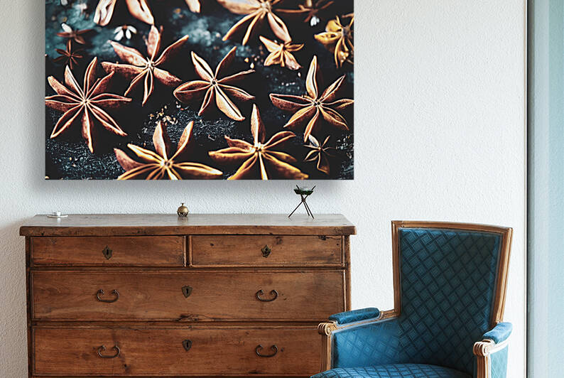 Star anise by Thevectoryfloor