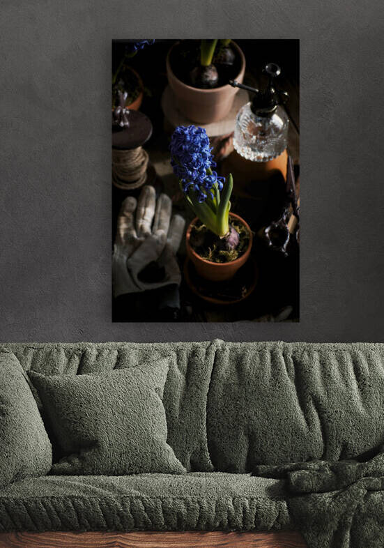 Purple hyacinth I by Thevectoryfloor