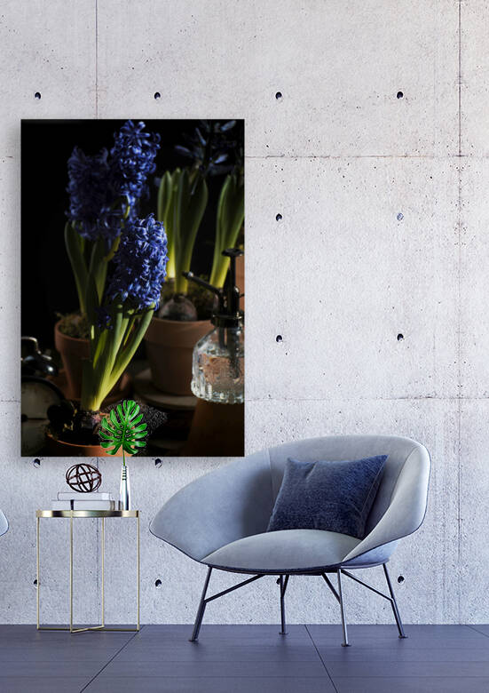Purple hyacinth II by Thevectoryfloor