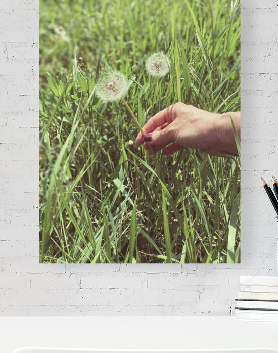 Hand in Grass II by Thevectoryfloor