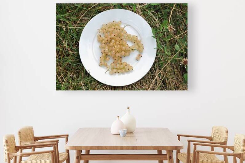 Directly above shot of white currants on plate outdoors in park by Thevectoryfloor