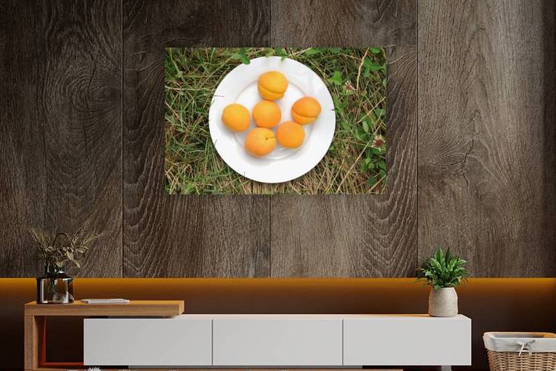 Directly above shot of ripe apricots on plate outdoors in park by Thevectoryfloor
