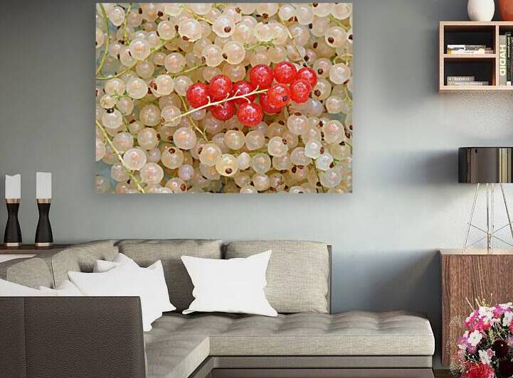 Full frame shot of red and white currants by Thevectoryfloor