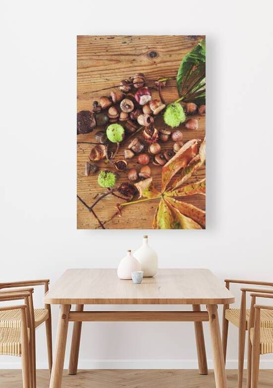 Directly above shot of acorns and chestnuts on wooden table by Thevectoryfloor