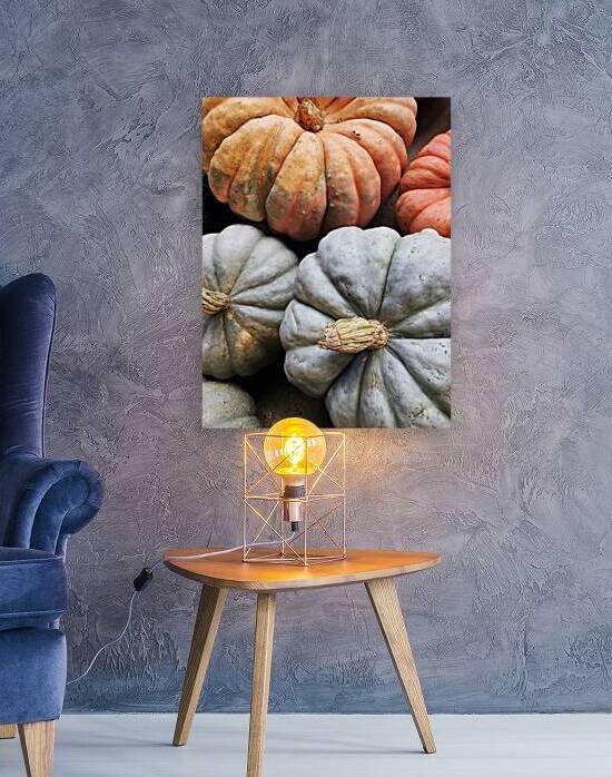 Close-up full frame shot of blue and orange colored pumpkins on a farm by Thevectoryfloor