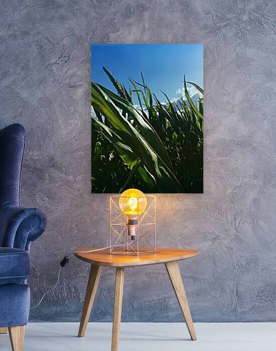 Close-up of corn plants in agricultural field against clear blue sky by Thevectoryfloor