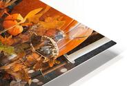 Orange pumpkins on table HD Metal print