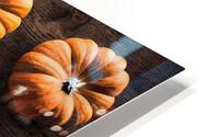 Orange pumpkins  HD Metal print