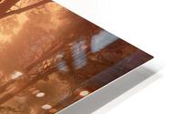 Orange forest HD Metal print