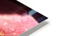 Flat Peach HD Metal print