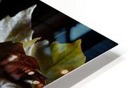 Three Apples HD Metal print