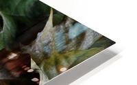 Apple and leaf HD Metal print