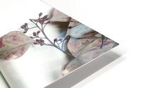 Botanical II  HD Metal print